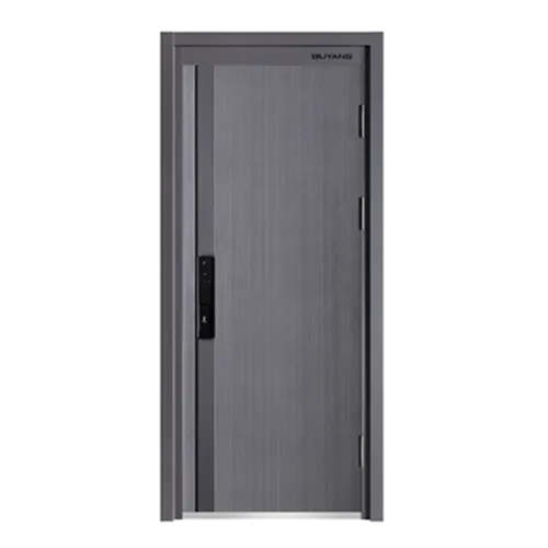 Security Door
