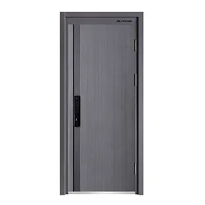 Security Door
