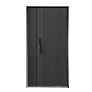 Armored Door